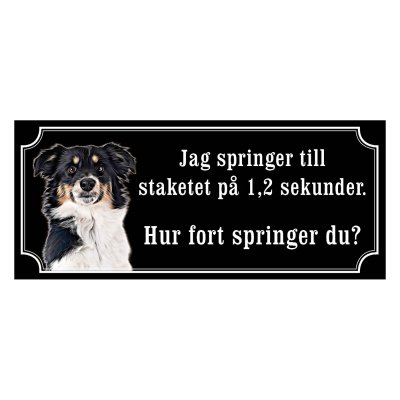 Miniature american shepherd hundskyltar