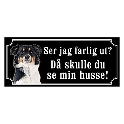 Miniature american shepherd hundskyltar