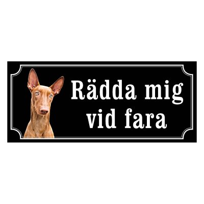 Faraohund - gammeldags stil