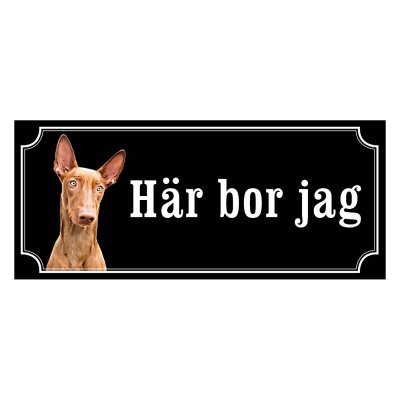 Faraohund - gammeldags stil