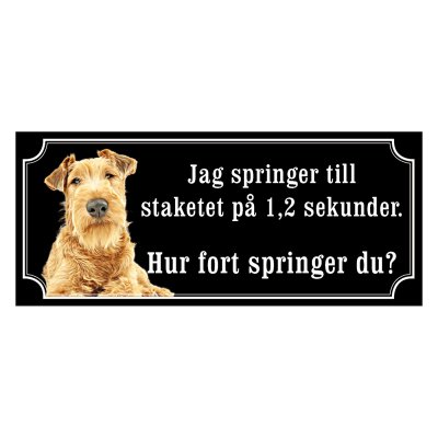 Irländsk terrier - gammeldags stil