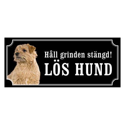 Norfolkterrier - gammaldags stil