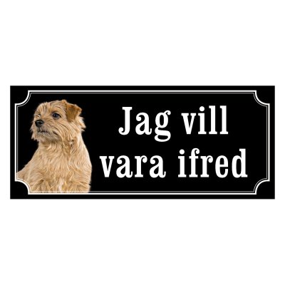 Norfolkterrier - gammaldags stil