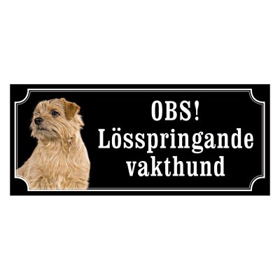 Norfolkterrier - gammaldags stil