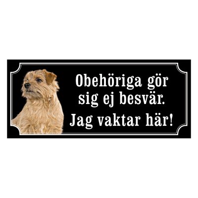Norfolkterrier - gammaldags stil