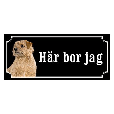 Norfolkterrier - gammaldags stil