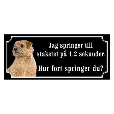 Norfolkterrier - gammaldags stil