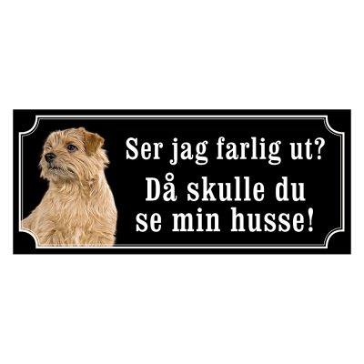 Norfolkterrier - gammaldags stil