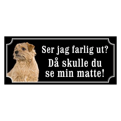 Norfolkterrier - gammaldags stil
