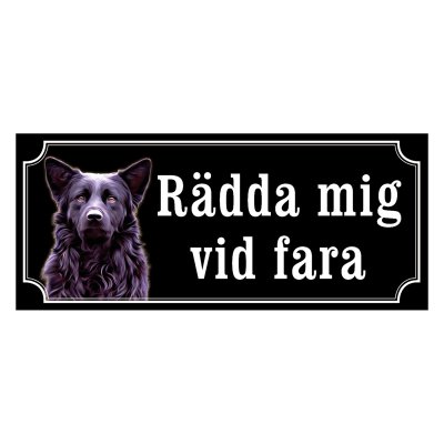 Hrvatski ovcar - gammaldags stil