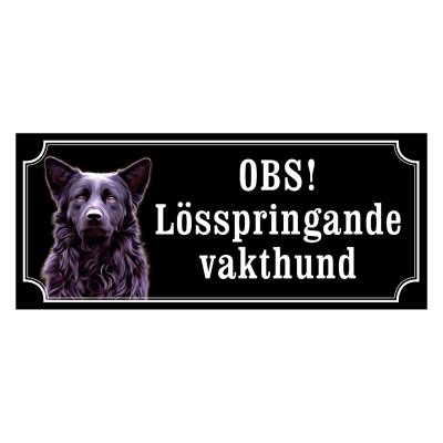 Hrvatski ovcar - gammaldags stil