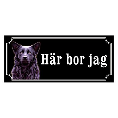 Hrvatski ovcar - gammaldags stil