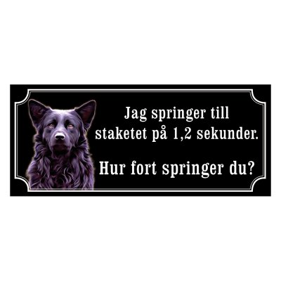 Hrvatski ovcar - gammaldags stil