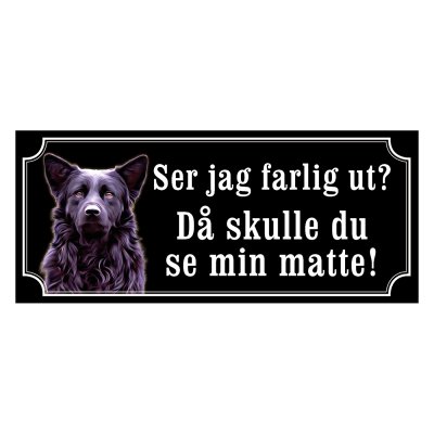 Hrvatski ovcar - gammaldags stil