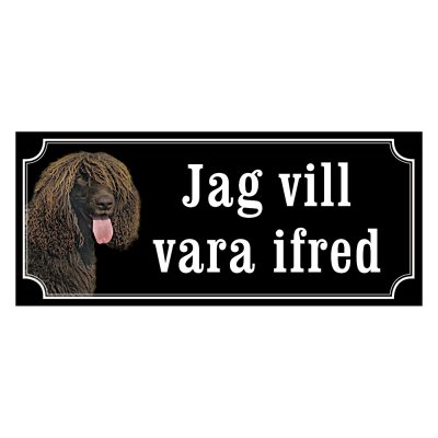 Irländsk vattenspaniel - gammaldags stil