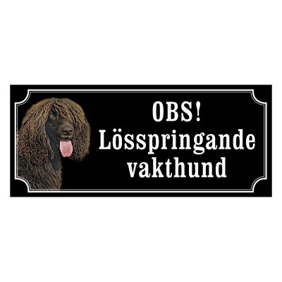 Irländsk vattenspaniel - gammaldags stil