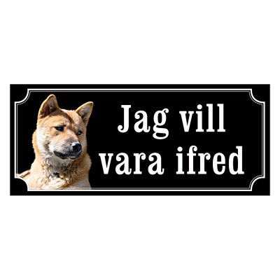 Korea jindo dog - gammaldags stil