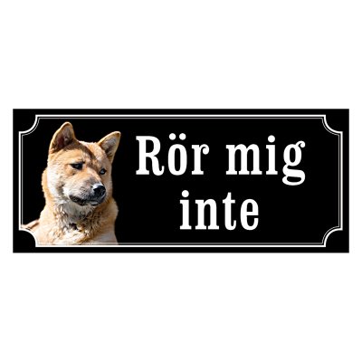 Korea jindo dog - gammaldags stil