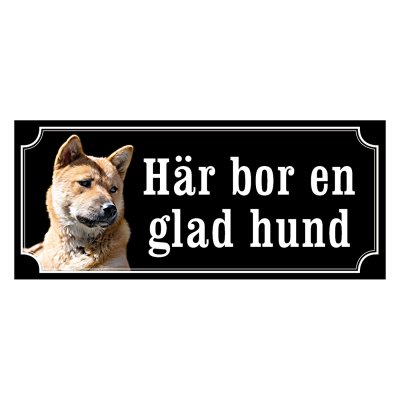 Korea jindo dog - gammaldags stil