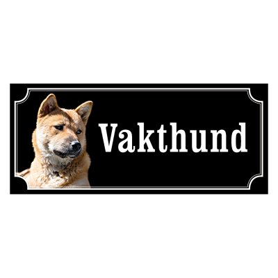 Korea jindo dog - gammaldags stil