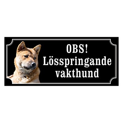 Korea jindo dog - gammaldags stil