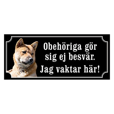 Korea jindo dog - gammaldags stil