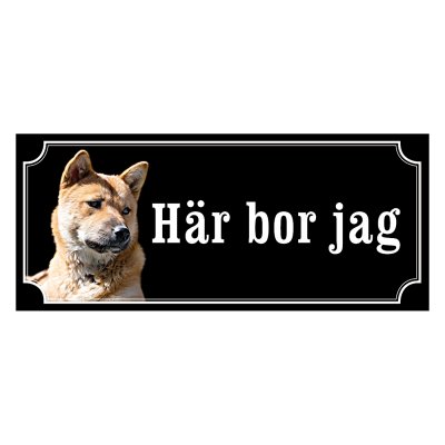 Korea jindo dog - gammaldags stil