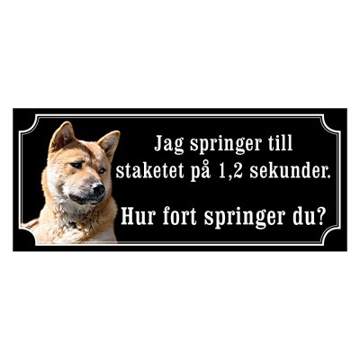 Korea jindo dog - gammaldags stil