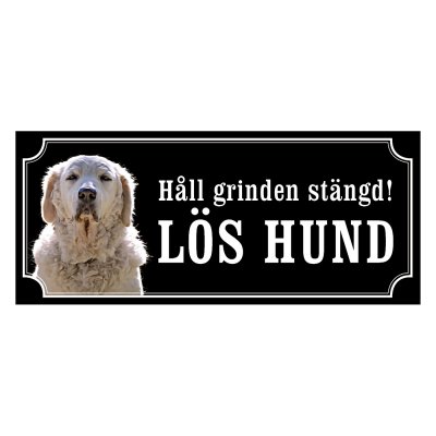 Kuvasz - gammeldags stil