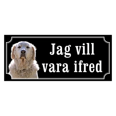 Kuvasz - gammeldags stil