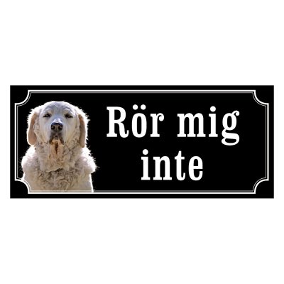 Kuvasz - gammeldags stil