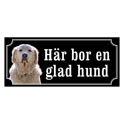 Kuvasz - gammeldags stil