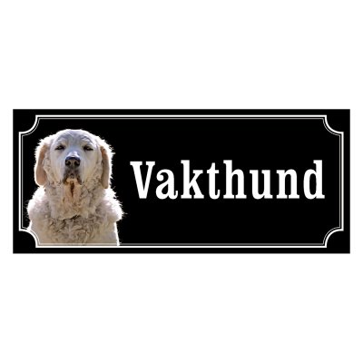 Kuvasz - gammeldags stil