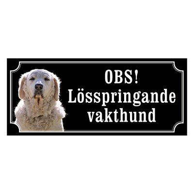 Kuvasz - gammeldags stil