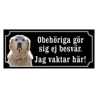 Kuvasz - gammeldags stil