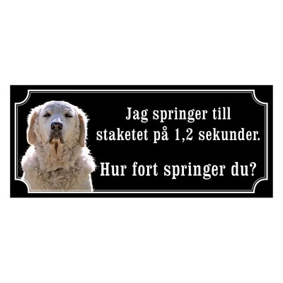 Kuvasz - gammeldags stil