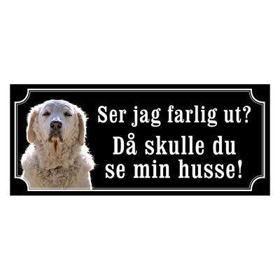 Kuvasz - gammeldags stil