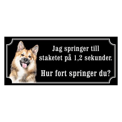 Isländsk fårhund - Hundskylt