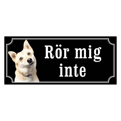 Norsk buhund - gammeldags stil