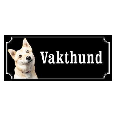Norsk buhund - gammeldags stil