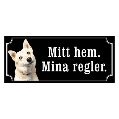 Norsk buhund - gammeldags stil