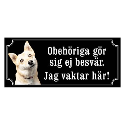 Norsk buhund - gammeldags stil