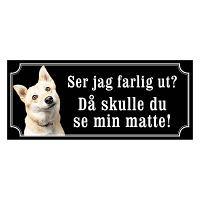 Norsk buhund - gammeldags stil