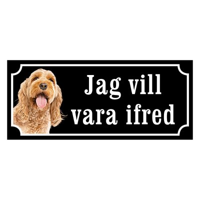 Cockerpoo "gammaldags stil"