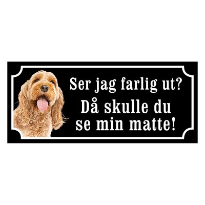 Cockerpoo "gammaldags stil"