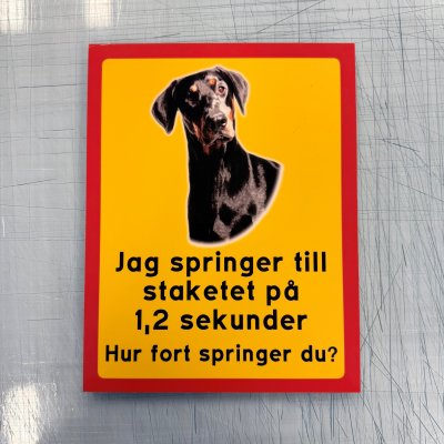 Fynd - Jag springer till staketet