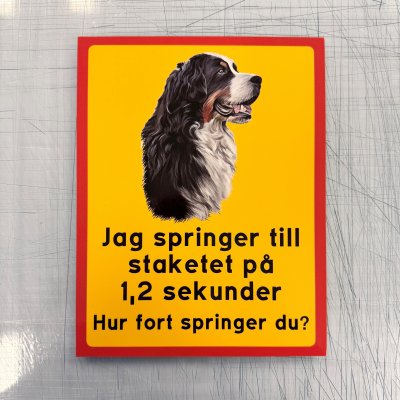 Fynd - Jag springer till staketet