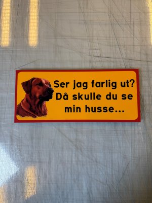 Fynd - Ser jag farlig ut, husse, Ridgeback