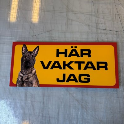 Fynd - Här vaktar jag , Malinois
