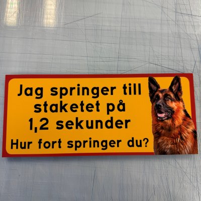 Fynd - Jag springer till staketet på 1,2 sek - Schäfer